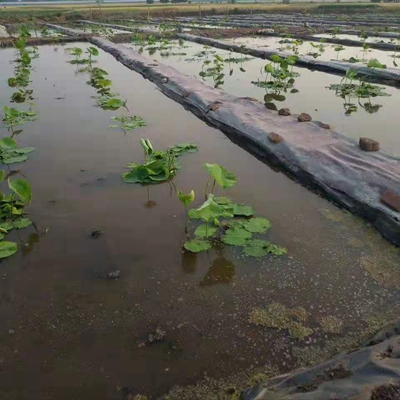 藕池抗老化腐蚀土工膜